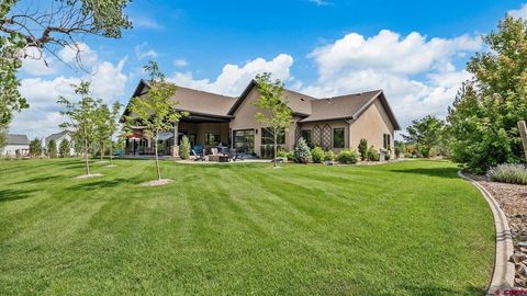 15067 6140 Lane Montrose CO 81403