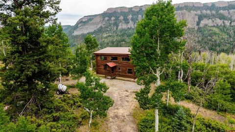 8009 CR 864 Cimarron CO 81220