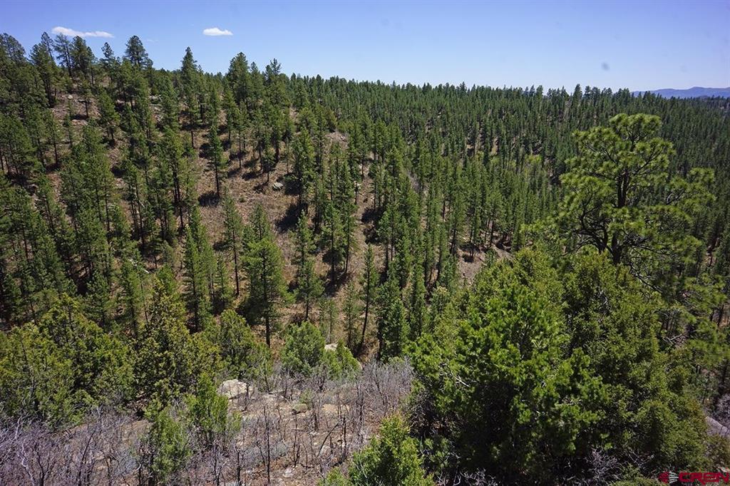 Photo 1 of 12 — 11 TBD Road 37.1, Mancos, CO 81328