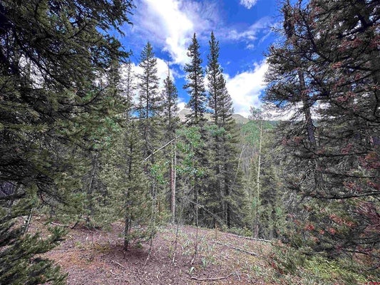 COUNTY RD 110, SILVERTON, CO 81433 - Image ecfaa4f0b60c05d1084dfbab940d7b71/3359094785
