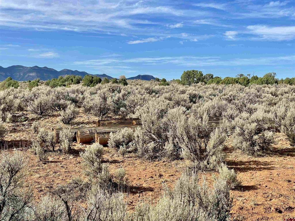 Photo 1 of 18 — TRACT 12 N Broadway, Cortez, CO 81321