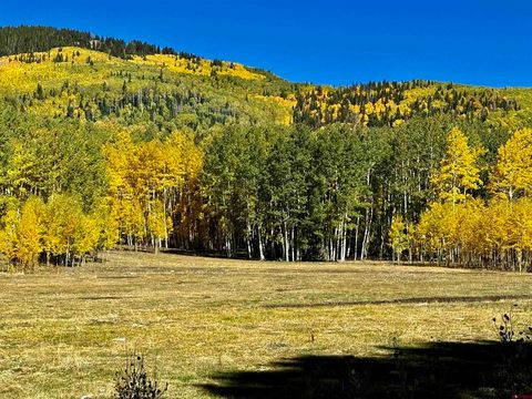 49404 FS 567 Mancos CO 81328
