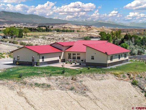 66711 Otter Road Montrose CO 81401