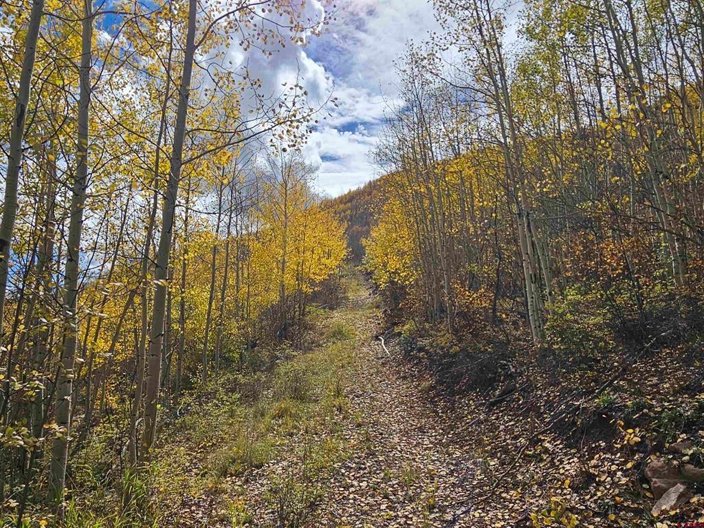 TBD County Road 243
