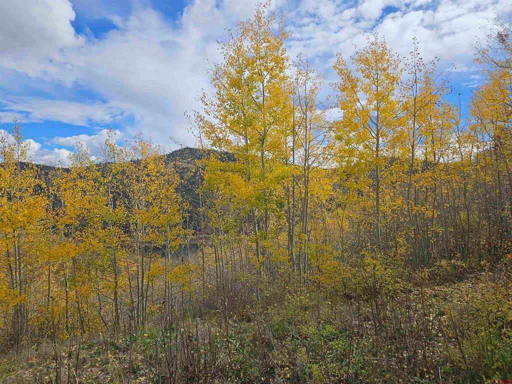 TBD County Road 243