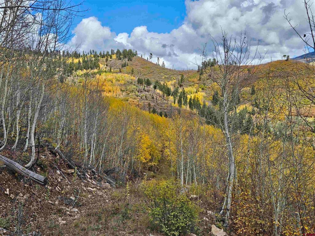 TBD County Road 243
