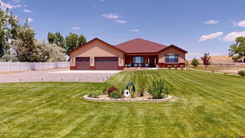 2965 Locust Road Montrose CO 81401