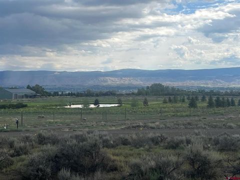 Photo of 3 6300 Road, Montrose, CO 81403 (MLS # 834828)