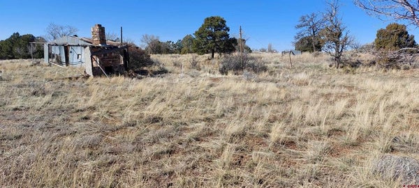 51981 HIGHWAY 491, CAHONE, CO 81320 - Image efbb7e97b0657019fab9a91dba8b535b/4166325163