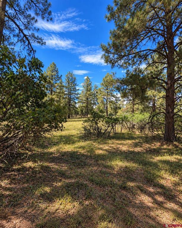 730 Nutria Circle - Photo 3