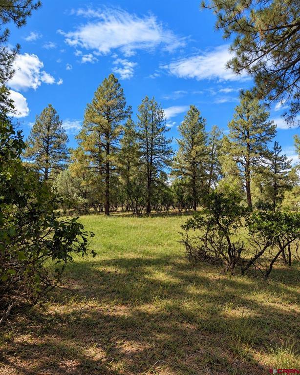 730 Nutria Circle - Photo 2