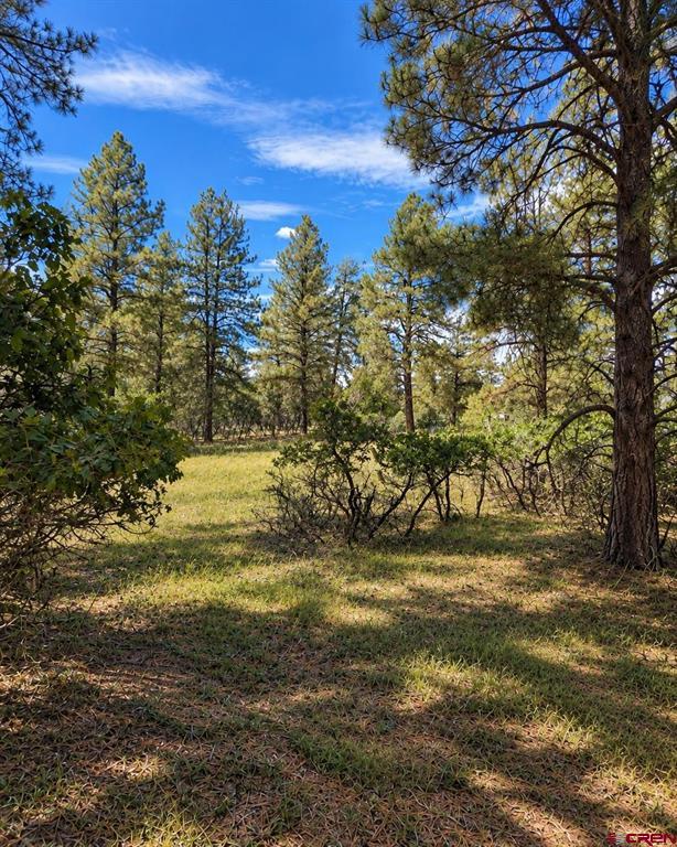 730 Nutria Circle - Photo 4