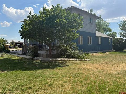 Photo of 17820 B Road, Delta, CO 81416 (MLS # 837074)