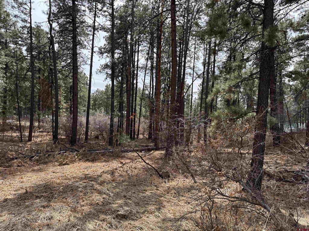 102 E Valley View Drive