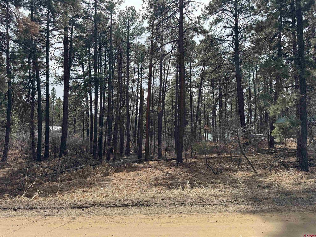 102 E Valley View Drive