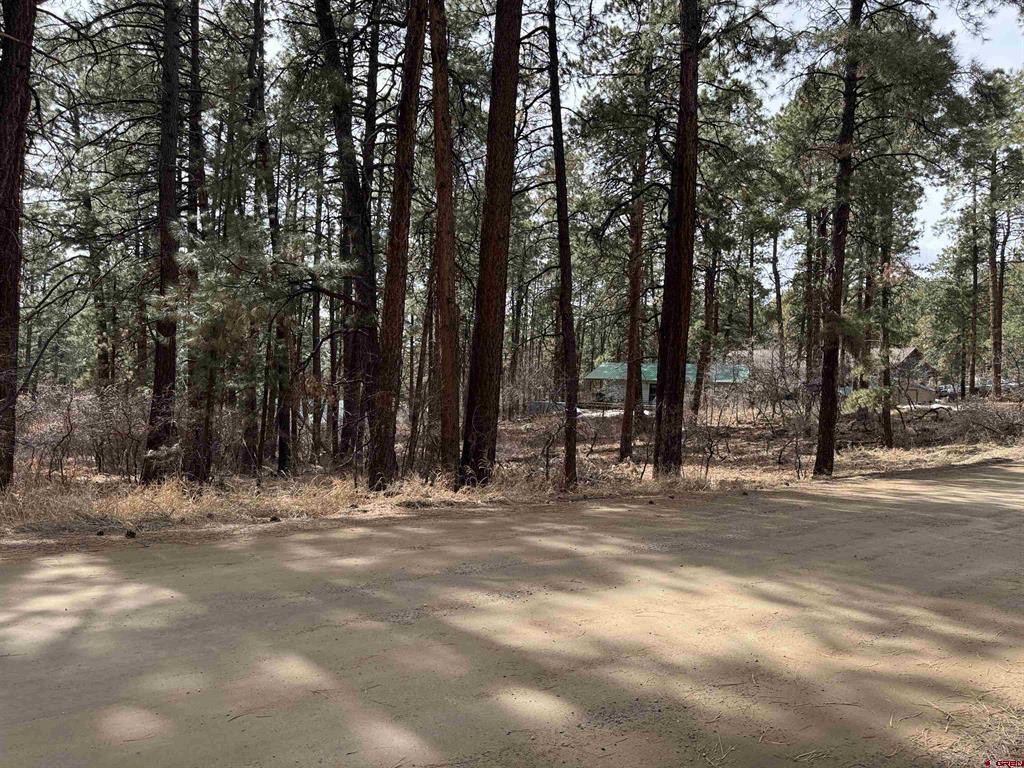 102 E Valley View Drive