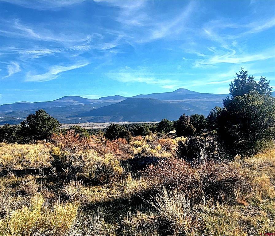Photo 1 of 37 — 1094 & 1343 Valley View Road, South Fork, CO 81154