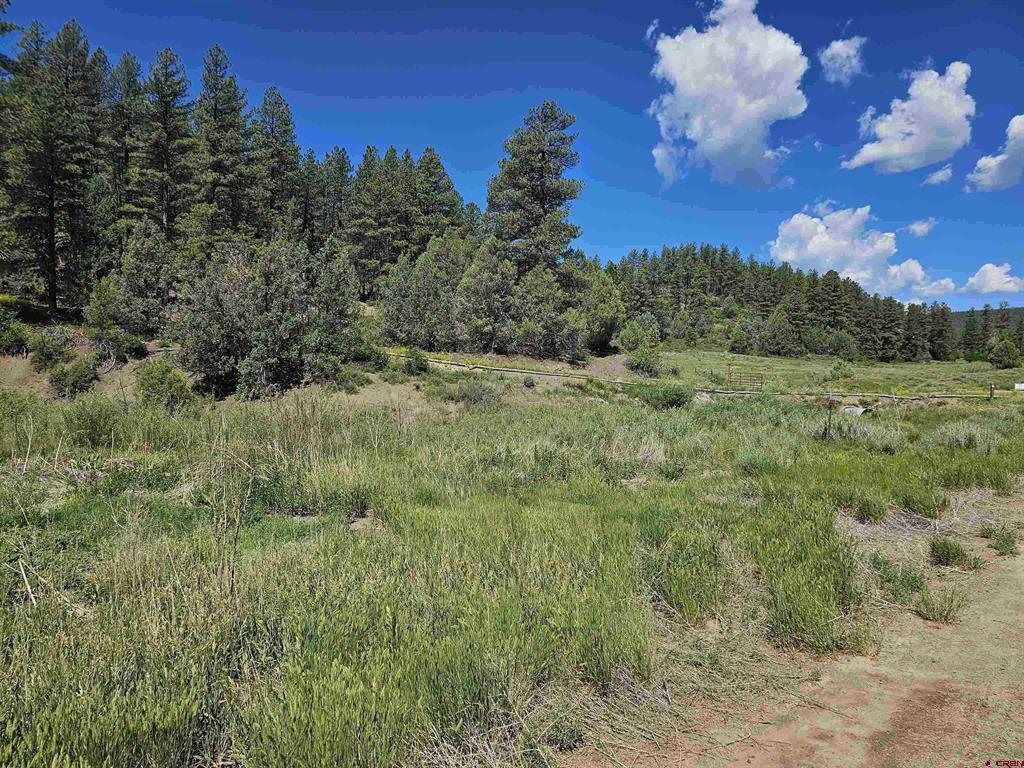 Photo 1 of 18 — 90 Badger Place, Pagosa Springs, CO 81147