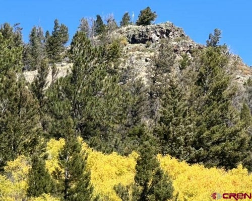 4462 COUNTY ROAD 25, POWDERHORN, CO 81243 - Image f23c463c047c3ef84b4e96fdc86caae8/3577315884
