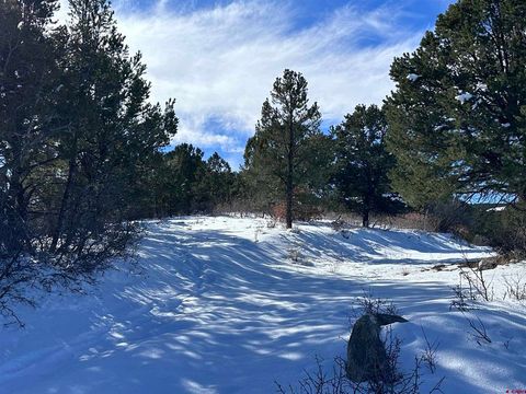 Lot 4 Pointe Escape Way Ridgway CO 81432