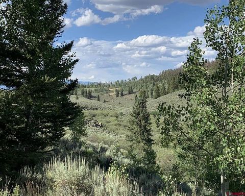 Photo of 738 Blue Mesa Drive, Powderhorn, CO 81243 (MLS # 833844)