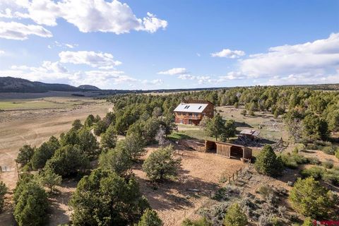 7454 Road 37 Road Mancos CO 81328