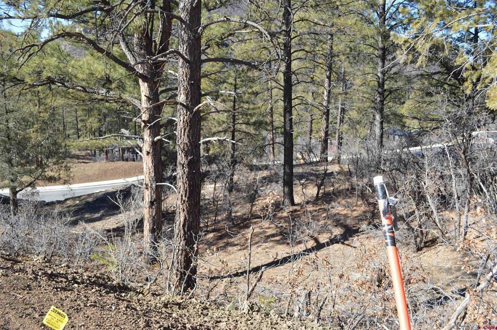 63 Snowdrop Ct. (Lot 139)