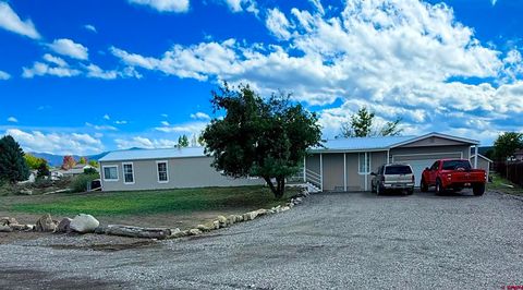 2796 Matie Lane Montrose CO 81401