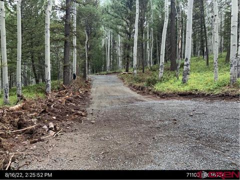 591 Crest Drive Cimarron CO 81220