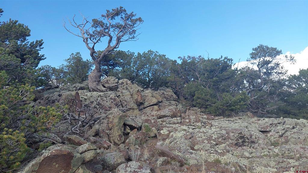 37 Turkey Creek Road