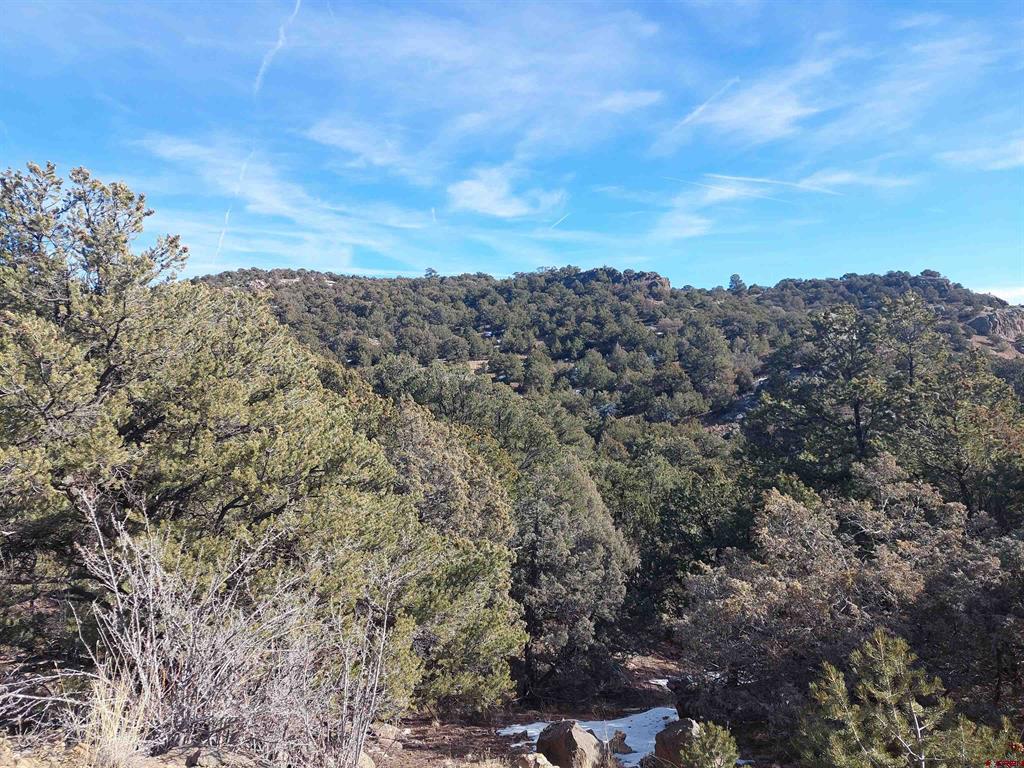 37 Turkey Creek Road