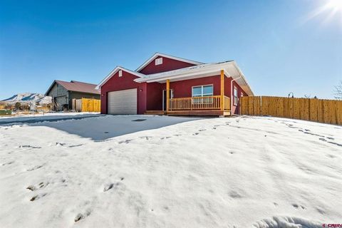 387 Angel Way Mancos CO 81328
