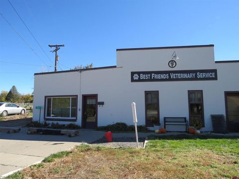 13244 Highway 65 Eckert CO 81418