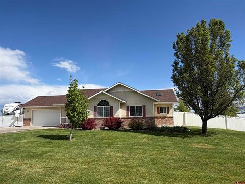 Photo of 11595 Joyful Way, Montrose, CO 81401 (MLS # 833987)