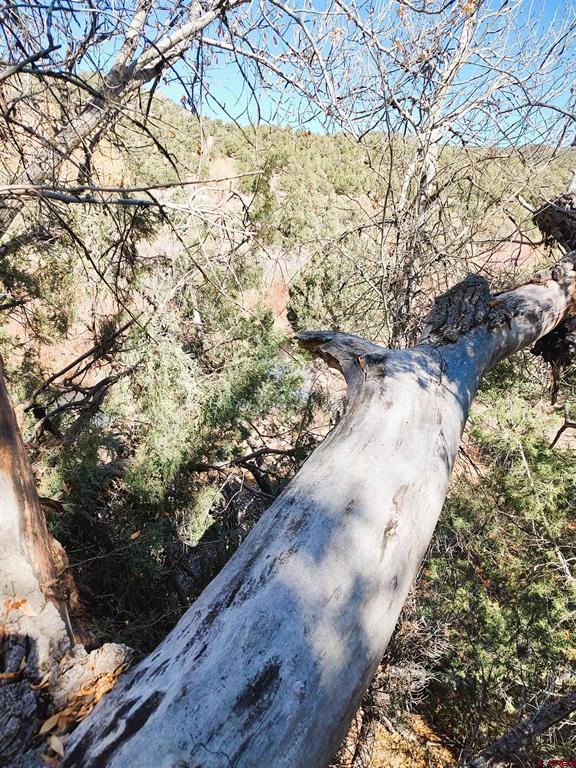LOT 4470 Indian Creek Road
