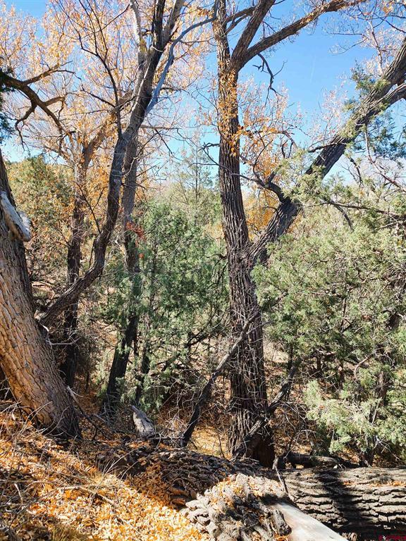 LOT 4470 Indian Creek Road
