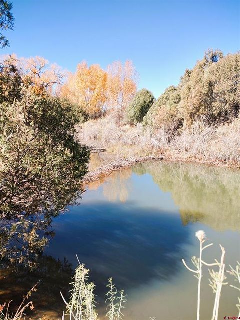 LOT 4470 Indian Creek Road Fort  Garland CO 81133