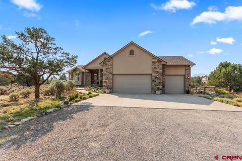 236 Quarter Horse Lane Ridgway CO 81432