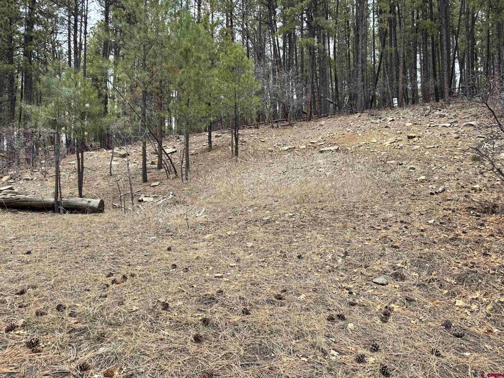 421 Forest Lakes Drive