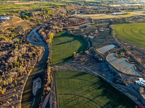 Photo of 8015 Scenic Mesa Road, Hotchkiss, CO 81419 (MLS # 825663) Photo of 8015 Scenic Mesa Road, Hotchkiss, CO 81419 (MLS # 825663)