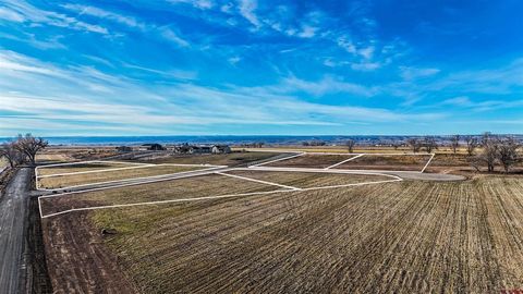 Photo of 5 Bronco Court, Delta, CO 81416 (MLS # 830622)