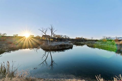 Photo of 55347 Begonia Road, Olathe, CO 81425 (MLS # 832454)