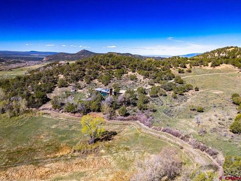Photo of 42996 Needle Rock Road, Crawford, CO 81415 (MLS # 833589)