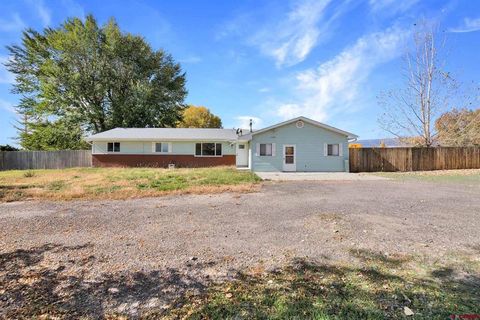 10487 2100 Road Austin CO 81410