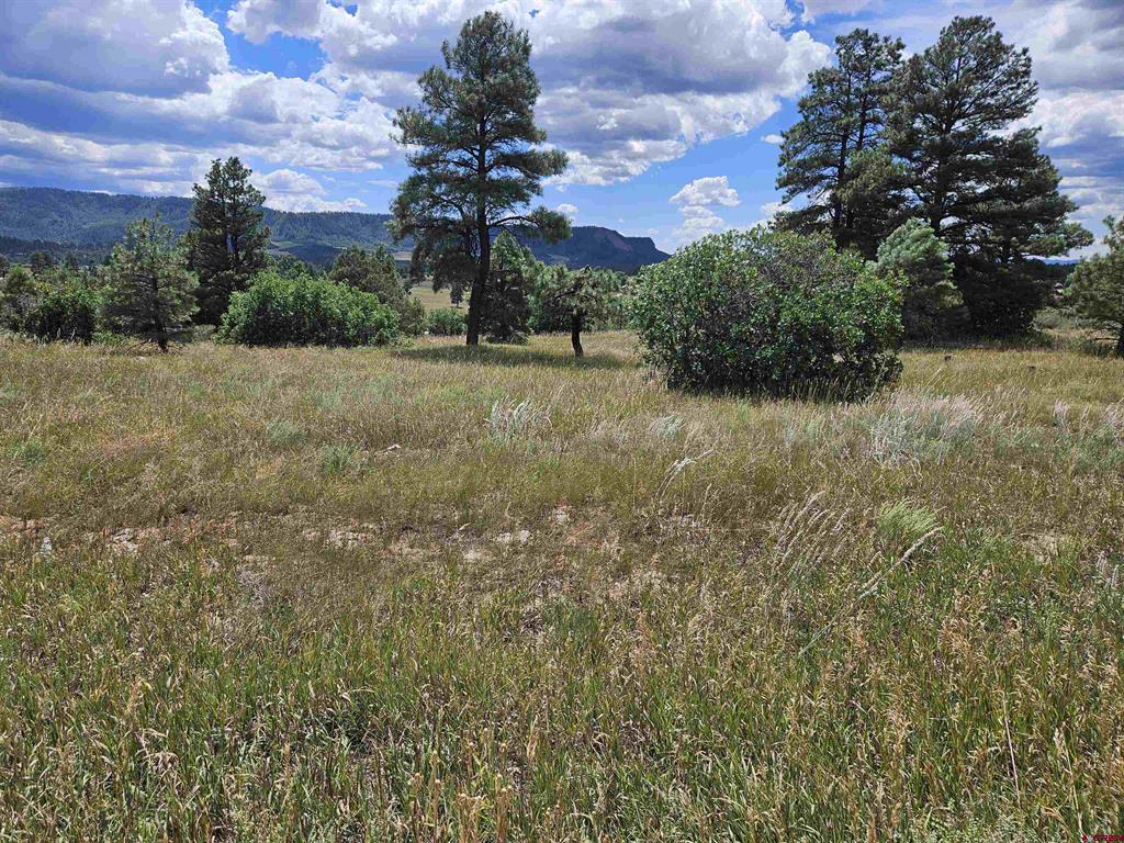 Photo 1 of 35 — 266 Prospect Boulevard, Pagosa Springs, CO 81147