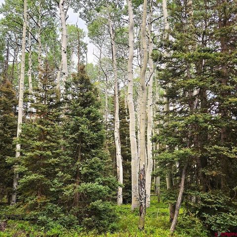 390 Rim Road Cimarron CO 81220