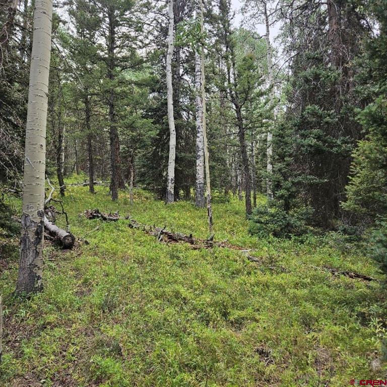 390 Rim Road