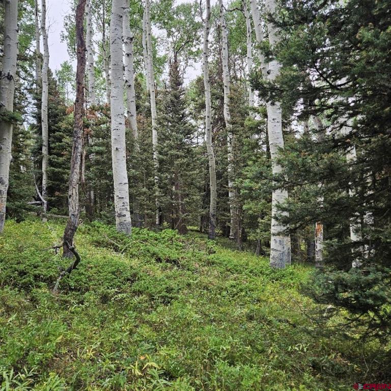 390 Rim Road