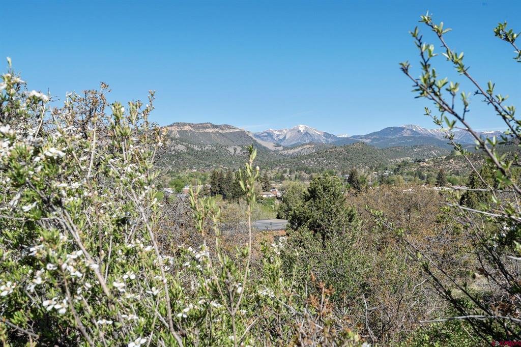 Durango, Colorado 81301, United States, 4 Bedrooms Bedrooms, ,2 BathroomsBathrooms,Residential,Active,134392