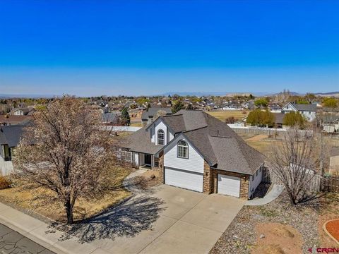 Photo of 3004 Silver Fox Drive, Montrose, CO 81401 (MLS # 833392)